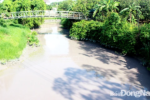 Nước dòng sông Buông với màu đục và đặc quánh. (Nguồn: Báo Đồng Nai) 