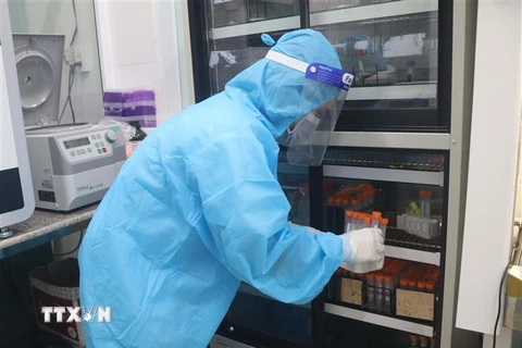 Kỹ thuật viên của Trung tâm Kiểm soát bệnh tật tỉnh Cao Bằng thực hiện bảo quản mẫu xét nghiệm SARS-CoV-2. (Ảnh: Chu Hiệu/TTXVN) 