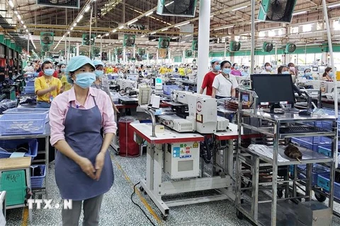 Công nhân trong một nhà máy ở Đồng Nai. (Ảnh: Lê Xuân/TTXVN) 
