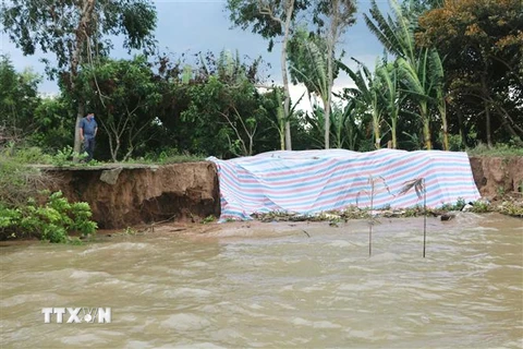 Một khu vực bờ bao bị sạt lở tại huyện Cù Lao Dung (tỉnh Sóc Trăng). (Ảnh: Chanh Đa/TTXVN) 