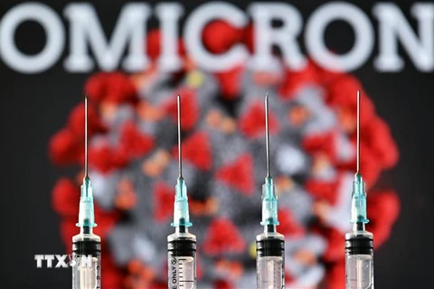 Hình ảnh biến thể Omicron, vaccine và bơm tiêm. (Ảnh: AFP/TTXVN) 