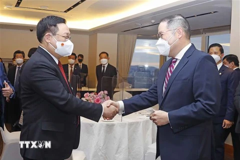 Chủ tịch Quốc hội Vương Đình Huệ với ông Cho Huyn-sang, Phó Chủ tịch Tập đoàn Hyosung. (Ảnh: Doãn Tấn/TTXVN) 