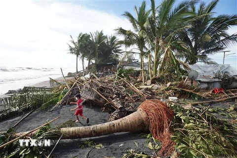 Cây cối gãy đổ do bão Rai tại thị trấn Dulag, tỉnh Leyte, Philippines ngày 17/12/2021. (Ảnh: AFP/TTXVN) 