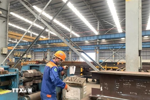 Hoạt động sản xuất tại một nhà máy ở tỉnh Bà Rịa-Vũng Tàu. (Ảnh: Hoàng Nhị/TTXVN) 