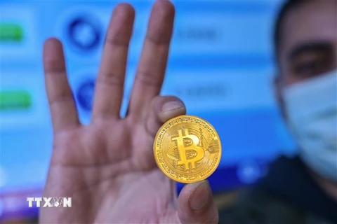 Đồng tiền kỹ thuật số bitcoin. (Nguồn: AFP/TTXVN) 