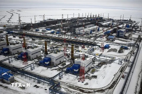Cơ sở khai thác khí đốt Bovanenkovo trên bán đảo Yamal. (Ảnh: AFP/TTXVN) 