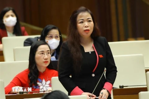 Đại biểu Quốc hội thành phố Hà Nội Vũ Thị Lưu Mai phát biểu. (Ảnh: Văn Điệp/TTXVN) 