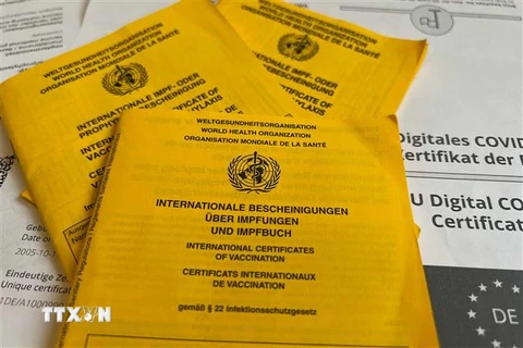 Sổ tiêm chủng màu vàng dễ bị làm giả ở Đức. (Ảnh: Mạnh Hùng/TTXVN) 