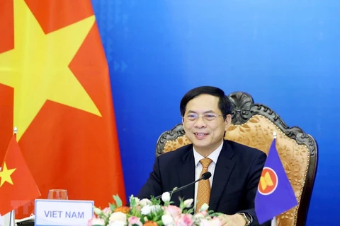 Bộ trưởng Bộ Ngoại giao Bùi Thanh Sơn. (Ảnh: Phạm Kiên/TTXVN) 