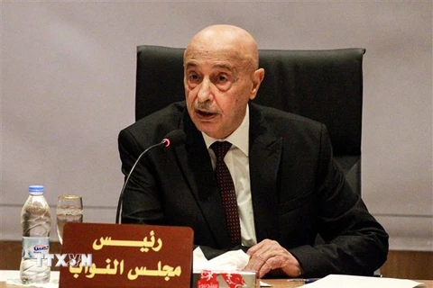 Chủ tịch Quốc hội Libya Aguila Saleh phát biểu tại một cuộc họp ở thành phố Benghazi. (Ảnh: AFP/TTXVN) 