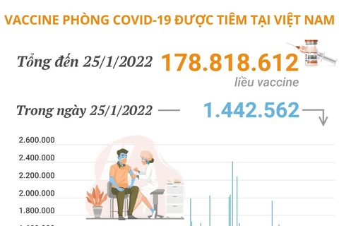 Việt Nam đã tiêm được hơn 178,8 triệu liều vaccine phòng COVID-19