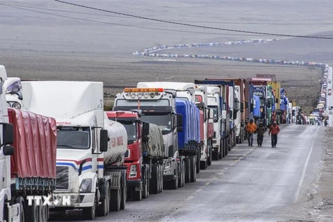 Các lái xe tải xếp hàng chờ xét nghiệm COVID-19 trên tuyến đường cao tốc Patacamya-Tambo, biên giới Chile và Bolivia. (Ảnh: AFP/TTXVN) 