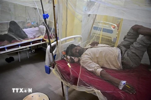Bệnh nhân mắc sốt xuất huyết được điều trị tại bệnh viện ở Allahabad, Ấn Độ, ngày 22/10/2021. (Ảnh: AFP/TTXVN) 