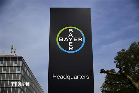 Trụ sở tập đoàn dược phẩm và hóa chất Bayer tại Leverkusen, Đức. (Ảnh: AFP/TTXVN) 