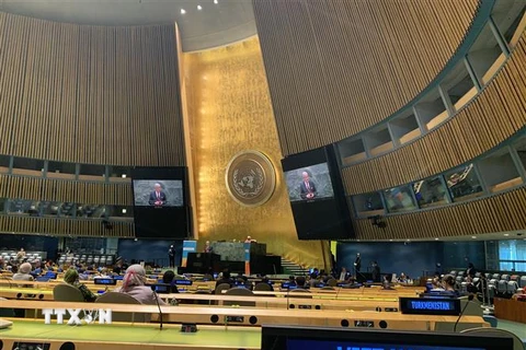 Quang cảnh một cuộc họp của Đại hội đồng Liên hợp quốc. (Ảnh: Hữu Thanh/TTXVN) 