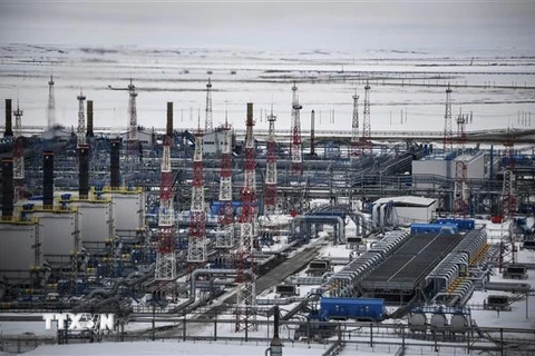 Một cơ sở khai thác dầu ở bán đảo Yamal thuộc vùng Tây Bắc Siberia của Nga. (Ảnh: AFP/TTXVN) 