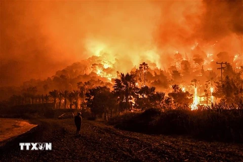 Vụ cháy rừng ở Schinos, phía Tây Athens, Hy Lạp ngày 19/5/2021. (Ảnh: AFP/TTXVN) 