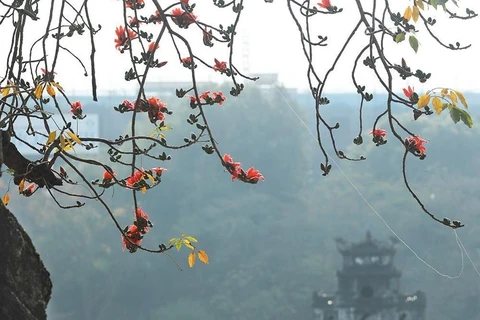 Những hình ảnh đẹp nao lòng của Hà Nội trong khoảnh khắc giao mùa