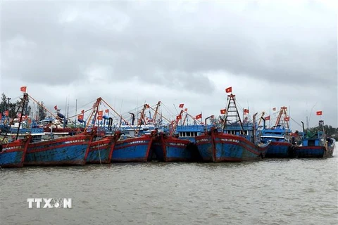 Tàu thuyền neo đậu tại cảng Tịnh Kỳ. (Ảnh: Lê Ngọc Phước/TTXVN) 