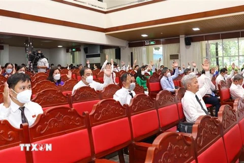 Đại biểu Hội đồng Nhân dân tỉnh biểu quyết thông qua các nghị quyết tại kỳ họp. (Ảnh: TTXVN phát) 