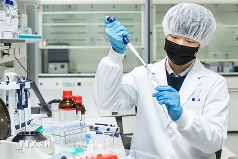 Nghiên cứu viên của Công ty dược phẩm SK Bioscience (Hàn Quốc) nghiên cứu bào chế vaccine ngừa COVID-19. (Ảnh: Korea Herald/TTXVN) 