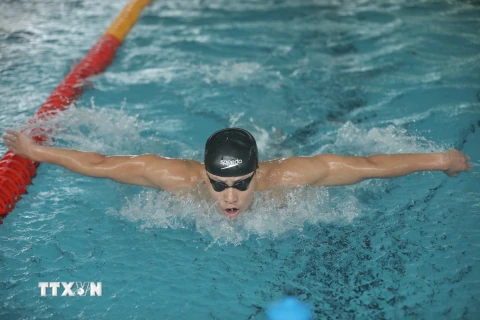 [Photo] Đội tuyển bơi hướng tới mục tiêu giành 5 đến 8 huy chương Vàng