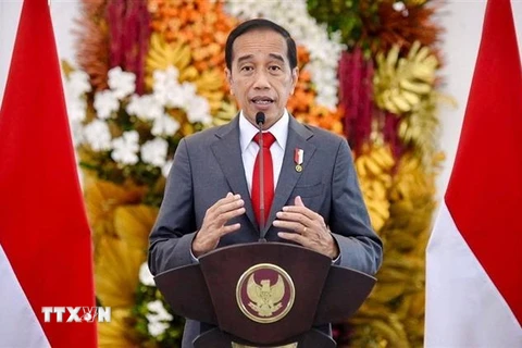 Tổng thống Indonesia Joko Widodo phát biểu tại cuộc họp ở Bogor, Indonesia. (Ảnh: AFP/TTXVN) 