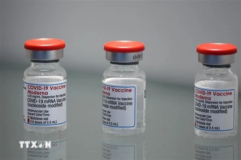 Vaccine phòng COVID-19 của Moderna. (Ảnh: AFP/TTXVN) 
