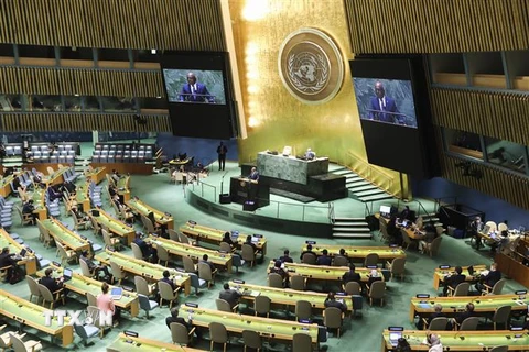 Một phiên họp của Đại hội đồng Liên hợp quốc. (Ảnh: THX/ TXVN) 