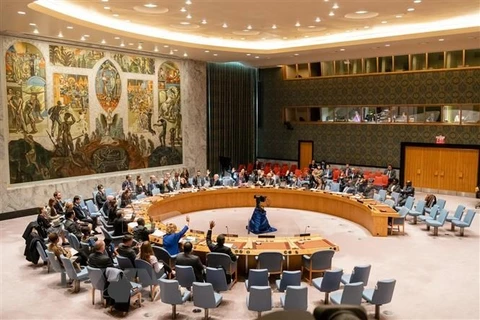 Một phiên họp của Hội đồng Bảo an Liên hợp quốc. (Nguồn: THX/TTXVN) 