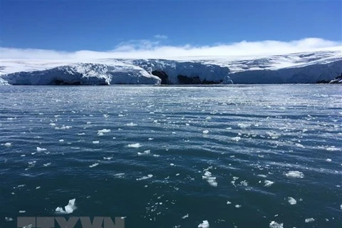 Sông băng Collins, Nam Cực. (Nguồn: AFP/TTXVN) 