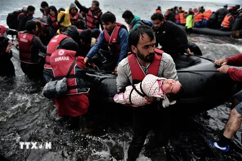 Người di cư tới đảo Lesbos (Hy Lạp), sau khi vượt biển Aegean từ Thổ Nhĩ Kỳ. (Ảnh: AFP/TTXVN) 