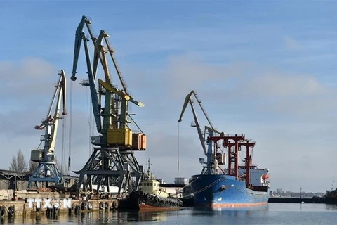 Tàu container neo tại cảng Berdyansk, miền Đông Ukraine. (Ảnh: AFP/TTXVN) 