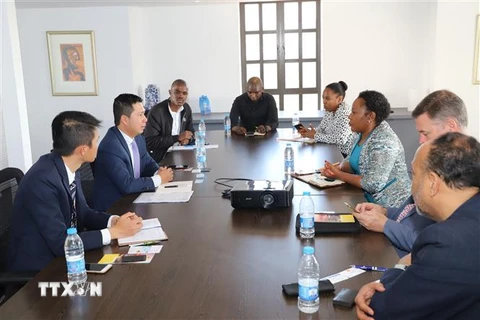 Đoàn công tác của Đại sứ quán Việt Nam ở Nam Phi làm việc với Phòng thương mại công nghiệp Durban. (Ảnh: Hoàng Minh/TTXVN) 