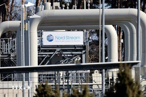 Đường ống dẫn khí đốt của hệ thống Dòng chảy phương Bắc 1 tại Lubmin, Đức ngày 8/3/2022. (Ảnh: Reuters/TTXVN) 