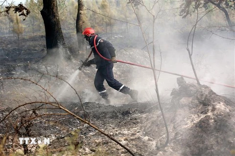 Nhân viên cứu hỏa nỗ lực khống chế các đám cháy rừng tại Louchats, miền Tây nước Pháp, ngày 19/7/2022. (Ảnh: AFP/TTXVN) 