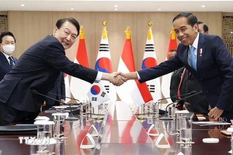 Tổng thống Hàn Quốc Yoon Suk-yeol (trái) và Tổng thống Indonesia Joko Widodo (phải) tại cuộc hội đàm ở Seoul ngày 28/7/2022. (Ảnh: Yonhap/TTXVN) 