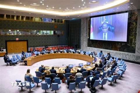 Toàn cảnh một cuộc họp Hội đồng Bảo an Liên hợp quốc về tình hình Cộng hoà Trung Phi. (Ảnh: TTXVN phát) 