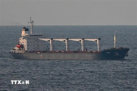 Tàu Razoni chở ngũ cốc của Ukraine di chuyển trên vùng biển phía Tây Bắc Istanbul, Thổ Nhĩ Kỳ ngày 2/8/2022. (Ảnh: AFP/TTXVN) 