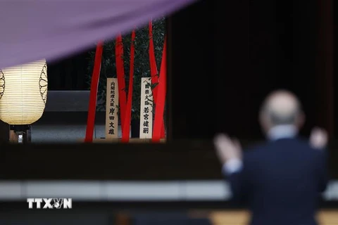 Cây masakaki được Thủ tướng Nhật Bản Fumio Kishida gửi cúng tại đền Yasukuni ngày 17/10/2021. (Ảnh: Kyodo/TTXVN) 
