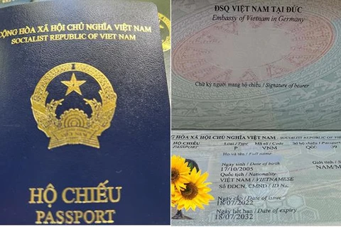 Mẫu hộ chiếu mới màu xanh tím than. (Nguồn: TTXVN) 