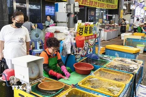 Một khu chợ hải sản ở Hàn Quốc. (Ảnh: Anh Nguyên/TTXVN) 