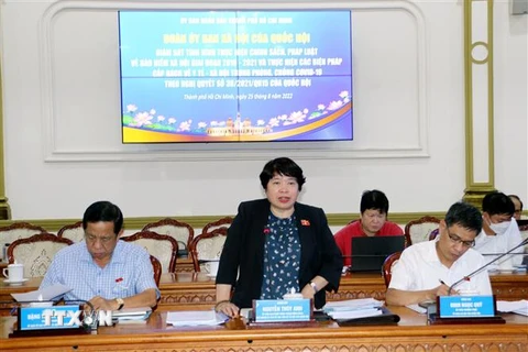 Chủ nhiệm Ủy ban Xã hội của Quốc hội Nguyễn Thúy Anh phát biểu tại buổi giám sát. (Ảnh: Thanh Vũ/TTXVN) 