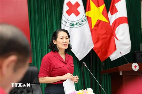 Chủ tịch Hội Chữ thập Đỏ Việt Nam Bùi Thị Hòa. (Ảnh: Thanh Tùng/TTXVN) 