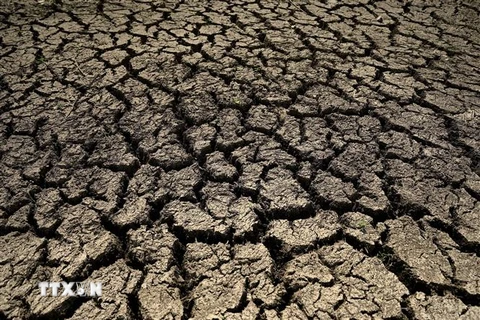 Đáy một hồ nước khô nứt nẻ do hạn hán kéo dài tại Cửu Giang, tỉnh Giang Tây, Trung Quốc ngày 23/8/2022. (Ảnh: AFP/TTXVN) 