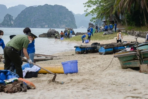 Thu dọn rác trên đảo Lờm Bò trên Vịnh Hạ Long. (Nguồn: baoquangninh.com.vn) 