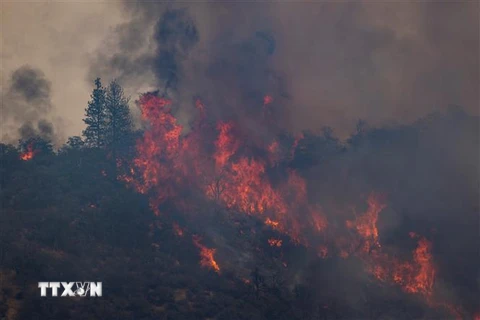 Khói lửa bốc lên từ đám cháy rừng ở bang California, Mỹ ngày 2/8/2022. (Ảnh: AFP/TTXVN) 