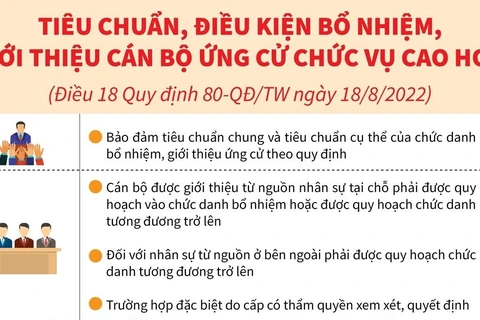 Tiêu chuẩn, điều kiện bổ nhiệm cán bộ ứng cử chức vụ cao hơn