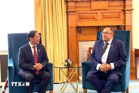 Bộ trưởng Ngoại giao Bùi Thanh Sơn và Chủ tịch Quốc hội New Zealand Adrian Rurawhe. (Ảnh: Nguyễn Minh/TTXVN) 