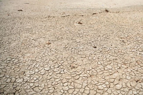 ​Tỉnh Giang Tây đã trải qua hơn 70 ngày cực kỳ khô hạn. (Nguồn: cneb.gov.cn) 